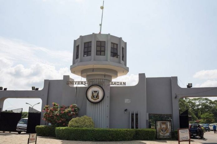 Univeristy of Ibadan start building new Faculty of Arts