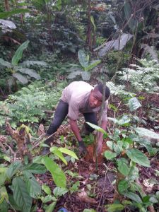 Clement on a farm in Muyuka