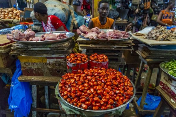  Entreprise d'huile de palme au Nigeria avec 100k en 2021