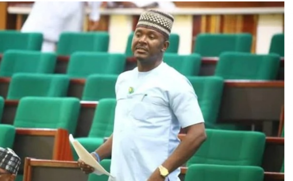 Akin Alabi Politician on the floor of house of Rep