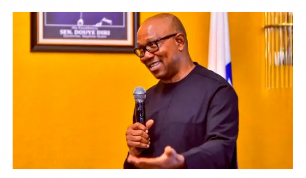 Biogrpahy of Peter Obi contesting for elections 2023